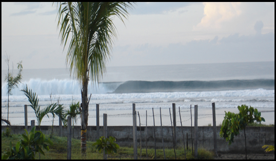 Your Wave